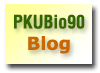 blog